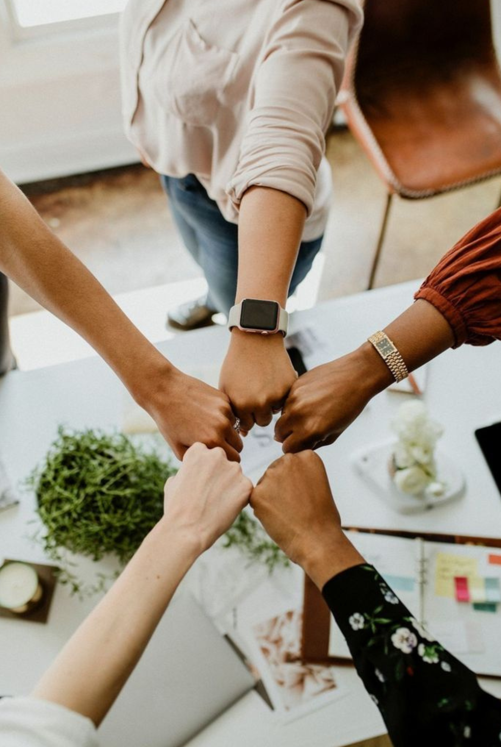 Our Vision, a united team driving forward